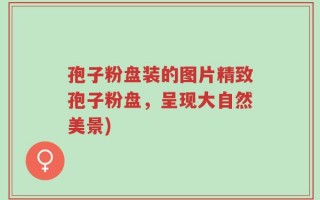 孢子粉盘装的图片精致孢子粉盘，呈现大自然美景)