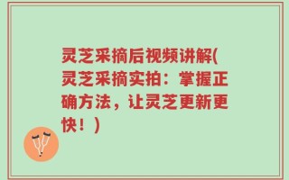 灵芝采摘后视频讲解(灵芝采摘实拍：掌握正确方法，让灵芝更新更快！)