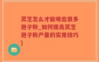 灵芝怎么才能喷出很多孢子粉_如何提高灵芝孢子粉产量的实用技巧)