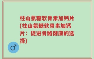 柱山氨糖软骨素加钙片(柱山氨糖软骨素加钙片：促进骨骼健康的选择)
