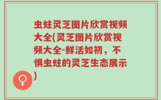 虫蛀灵芝图片欣赏视频大全(灵芝图片欣赏视频大全-鲜活如初，不惧虫蛀的灵芝生态展示)