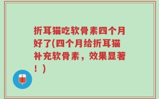 折耳猫吃软骨素四个月好了(四个月给折耳猫补充软骨素，效果显著！)