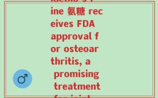 fine 氨糖(AmideBio's fine 氨糖 receives FDA approval for osteoarthritis, a promising treatment for joint pain)