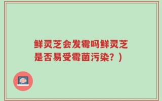 鲜灵芝会发霉吗鲜灵芝是否易受霉菌污染？)