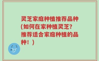 灵芝家庭种植推荐品种(如何在家种植灵芝？推荐适合家庭种植的品种！)