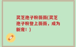 灵芝孢子粉薇薇(灵芝孢子粉登上薇薇，成为新宠！)