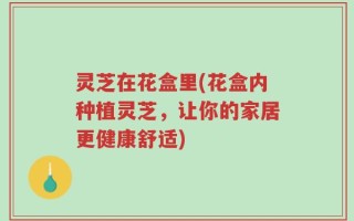 灵芝在花盒里(花盒内种植灵芝，让你的家居更健康舒适)