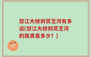 怒江大桥到灵芝河有多远(怒江大桥到灵芝河的距离是多少？)