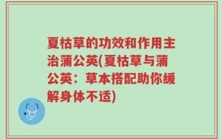 夏枯草的功效和作用主治蒲公英(夏枯草与蒲公英：草本搭配助你缓解身体不适)