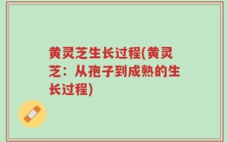 黄灵芝生长过程(黄灵芝：从孢子到成熟的生长过程)