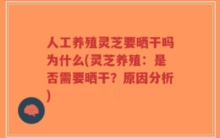 人工养殖灵芝要晒干吗为什么(灵芝养殖：是否需要晒干？原因分析)