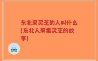 东北采灵芝的人叫什么(东北人采集灵芝的故事)