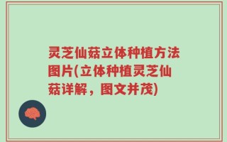 灵芝仙菇立体种植方法图片(立体种植灵芝仙菇详解，图文并茂)