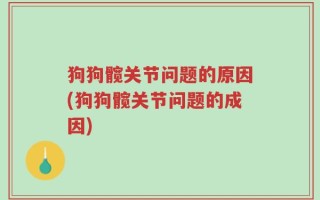 狗狗髋关节问题的原因(狗狗髋关节问题的成因)