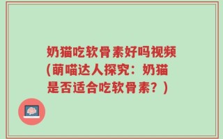 奶猫吃软骨素好吗视频(萌喵达人探究：奶猫是否适合吃软骨素？)