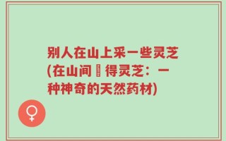 别人在山上采一些灵芝(在山间採得灵芝：一种神奇的天然药材)