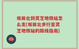 坂田北到灵芝地铁站怎么走(坂田北步行至灵芝地铁站的路线指南)