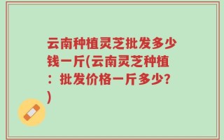 云南种植灵芝批发多少钱一斤(云南灵芝种植：批发价格一斤多少？)