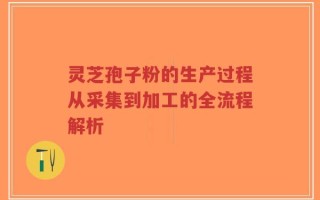 灵芝孢子粉的生产过程从采集到加工的全流程解析