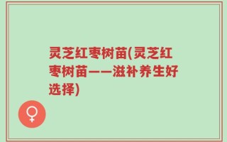 灵芝红枣树苗(灵芝红枣树苗——滋补养生好选择)