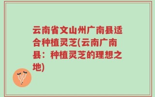 云南省文山州广南县适合种植灵芝(云南广南县：种植灵芝的理想之地)