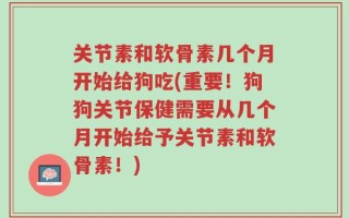 关节素和软骨素几个月开始给狗吃(重要！狗狗关节保健需要从几个月开始给予关节素和软骨素！)