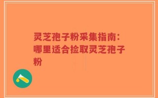 灵芝孢子粉采集指南：哪里适合捡取灵芝孢子粉