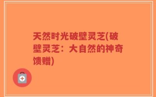 天然时光破壁灵芝(破壁灵芝：大自然的神奇馈赠)
