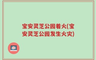 宝安灵芝公园着火(宝安灵芝公园发生火灾)