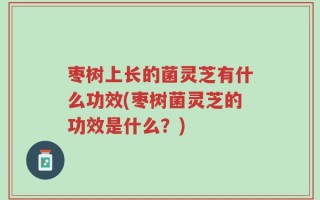 枣树上长的菌灵芝有什么功效(枣树菌灵芝的功效是什么？)