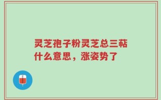 灵芝孢子粉灵芝总三萜什么意思，涨姿势了