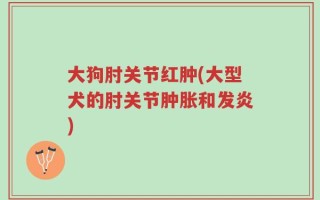 大狗肘关节红肿(大型犬的肘关节肿胀和发炎)