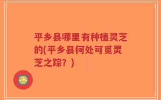 平乡县哪里有种植灵芝的(平乡县何处可觅灵芝之踪？)