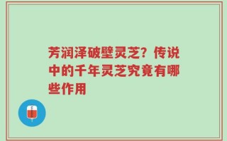芳润泽破壁灵芝？传说中的千年灵芝究竟有哪些作用