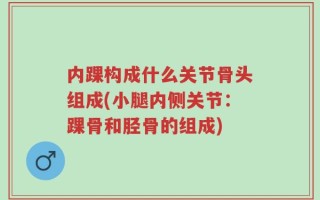 内踝构成什么关节骨头组成(小腿内侧关节：踝骨和胫骨的组成)