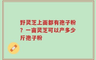 野灵芝上面都有孢子粉？一亩灵芝可以产多少斤孢子粉