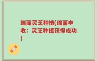 瑞丽灵芝种植(瑞丽丰收：灵芝种植获得成功)