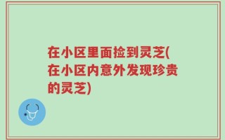 在小区里面捡到灵芝(在小区内意外发现珍贵的灵芝)