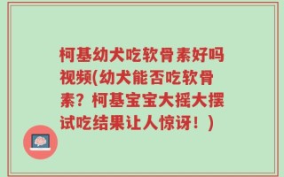 柯基幼犬吃软骨素好吗视频(幼犬能否吃软骨素？柯基宝宝大摇大摆试吃结果让人惊讶！)