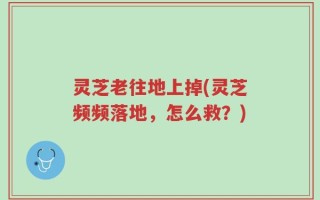 灵芝老往地上掉(灵芝频频落地，怎么救？)