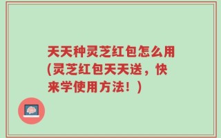 天天种灵芝红包怎么用(灵芝红包天天送，快来学使用方法！)
