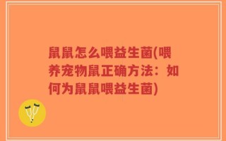鼠鼠怎么喂益生菌(喂养宠物鼠正确方法：如何为鼠鼠喂益生菌)