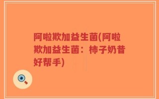 阿啦欺加益生菌(阿啦欺加益生菌：柿子奶昔好帮手)