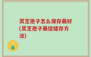 灵芝孢子怎么保存最好(灵芝孢子最佳储存方法)