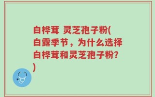 白桦茸 灵芝孢子粉(白露季节，为什么选择白桦茸和灵芝孢子粉？)