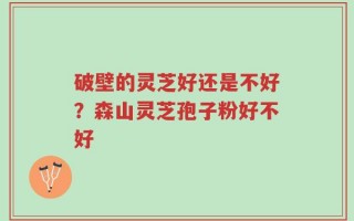 破壁的灵芝好还是不好？森山灵芝孢子粉好不好