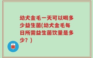 幼犬金毛一天可以喝多少益生菌(幼犬金毛每日所需益生菌饮量是多少？)
