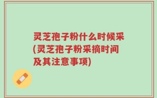 灵芝孢子粉什么时候采(灵芝孢子粉采摘时间及其注意事项)