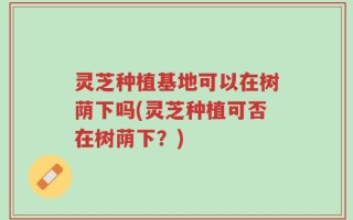灵芝种植基地可以在树荫下吗(灵芝种植可否在树荫下？)