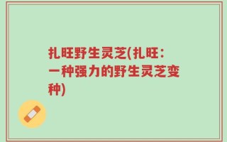 扎旺野生灵芝(扎旺：一种强力的野生灵芝变种)